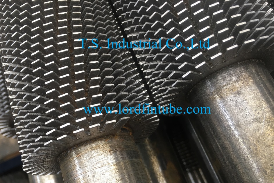 China's foreign trade started steadily and the total export value in the firs...