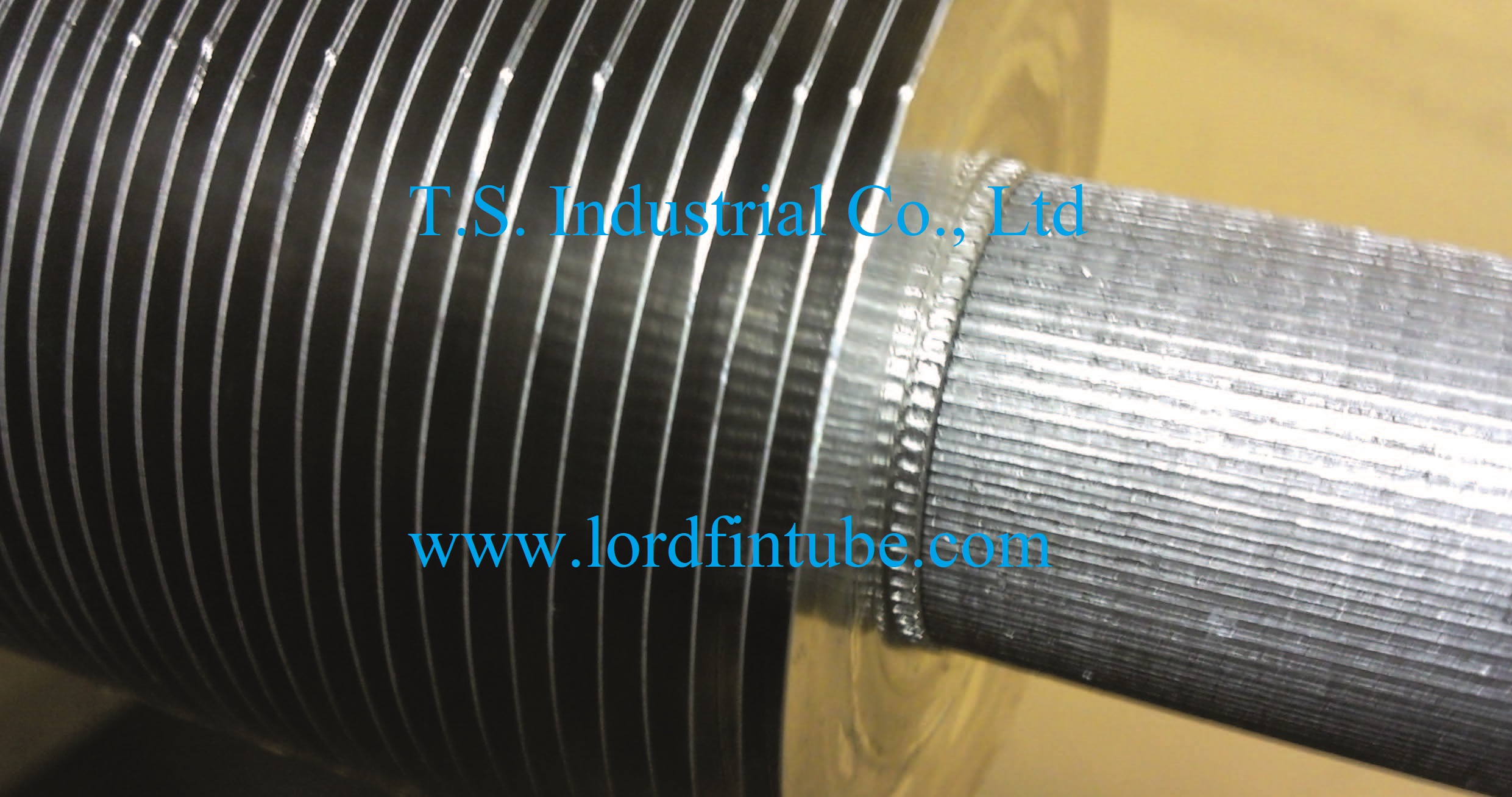 China's foreign trade started steadily and the total export value in the firs...